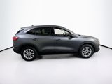 Used 2021 Ford Escape SE w/ Cold Weather Package image 4