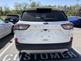 Used 2020 Ford Escape SEL image 5