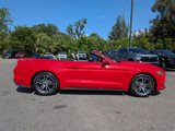 Used 2017 Ford Mustang Premium image 3