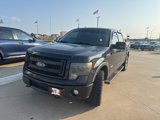 Used 2013 Ford F150 FX4 w/ Luxury Equipment Group image 3