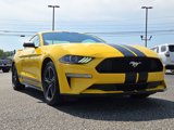 Used 2018 Ford Mustang Coupe w/ Ecoboost Performance Package image 5