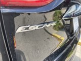 Used 2014 Ford Escape Titanium image 5