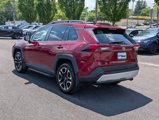Used 2019 Toyota RAV4 Adventure image 6