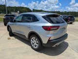 Used 2024 Ford Escape Active image 6