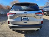 Used 2020 Ford Escape SEL image 5