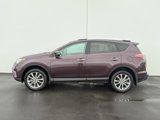 Certified 2016 Toyota RAV4 Limited image 5