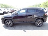 New 2025 Jeep Compass Limited image 2