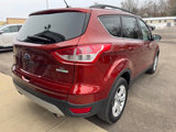 Used 2014 Ford Escape SE w/ Equipment Group 201A image 3