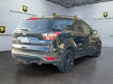 Used 2017 Ford Escape Titanium image 4
