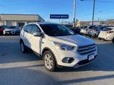 Used 2019 Ford Escape SE image 3