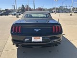 Used 2022 Ford Mustang Premium image 6