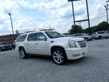 Used 2013 Cadillac Escalade ESV Platinum image 3