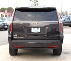 Used 2018 Cadillac Escalade Luxury image 4