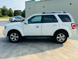 Used 2011 Ford Escape Limited w/ 302A Rapid Spec Order Code image 5