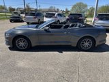 Used 2019 Ford Mustang Premium w/ Equipment Group 201A image 4