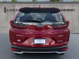 Used 2022 Honda CR-V Touring image 6