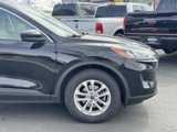 Used 2021 Ford Escape SE image 3