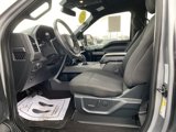 Used 2020 Ford F150 XLT w/ Equipment Group 302A Luxury image 4