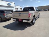 Used 2013 Ford F150 XLT w/ Luxury Equipment Group image 5