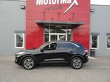 Used 2020 Ford Escape SEL image 2
