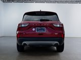 Used 2020 Ford Escape SE image 6