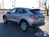 Certified 2022 Ford Escape SE w/ Cold Weather Package image 4