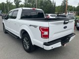 Used 2018 Ford F150 XLT w/ Equipment Group 302A Luxury image 5