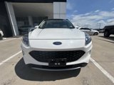 Used 2020 Ford Escape Titanium w/ Titanium Premium Package 2.0 image 5