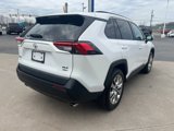 Used 2019 Toyota RAV4 XLE Premium image 5