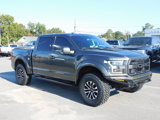 Used 2017 Ford F150 Raptor w/ Equipment Group 802A Luxury image 4