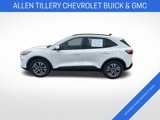 Used 2020 Ford Escape SEL image 2