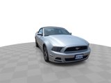 Used 2014 Ford Mustang Premium w/ Comfort Package image 2