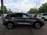Certified 2022 Ford Escape SEL image 2
