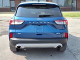 Used 2022 Ford Escape SE w/ Convenience Package image 4