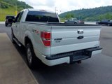 Used 2012 Ford F150 STX w/ STX Decor Pkg image 6