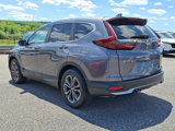 Certified 2022 Honda CR-V EX-L image 4