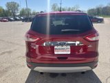 Used 2015 Ford Escape SE w/ SE Chrome Package image 6