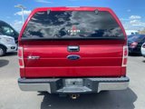 Used 2009 Ford F150 XLT image 5