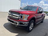 Used 2018 Ford F150 XLT w/ Equipment Group 302A Luxury image 5