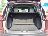 Used 2019 Honda CR-V EX-L image 6