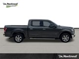 Used 2015 Ford F150 XLT w/ Equipment Group 302A Luxury image 4