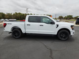 New 2025 Ford F150 STX image 5