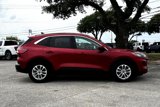 Used 2021 Ford Escape SE image 4