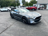 Used 2023 Ford Mustang GT Premium w/ Equipment Group 401A image 3