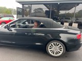 Used 2011 Audi A5 2.0T Premium Plus image 6