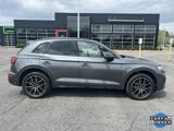 Used 2022 Audi SQ5 Prestige image 3