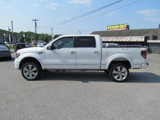 Used 2010 Ford F150 Platinum image 4
