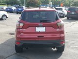 Used 2018 Ford Escape SE w/ SE Sport Appearance Package image 5