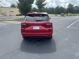 Used 2024 Ford Escape ST-Line image 3
