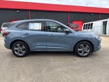Used 2024 Ford Escape ST-Line image 4